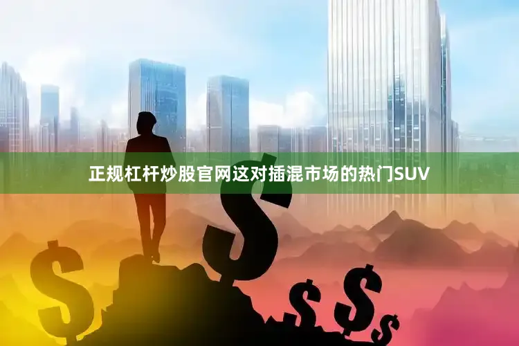 正规杠杆炒股官网这对插混市场的热门SUV