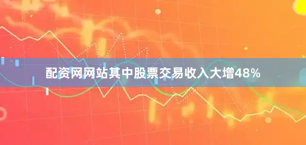 配资网网站其中股票交易收入大增48%